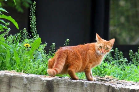 Улица Мечникова: прогулка по одной из самых длинных улиц Одессы (фоторепортаж) 
