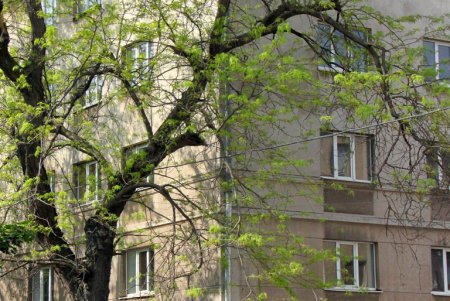 Улица Мечникова: прогулка по одной из самых длинных улиц Одессы (фоторепортаж) 