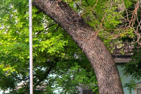 Улица Мечникова: прогулка по одной из самых длинных улиц Одессы (фоторепортаж) 