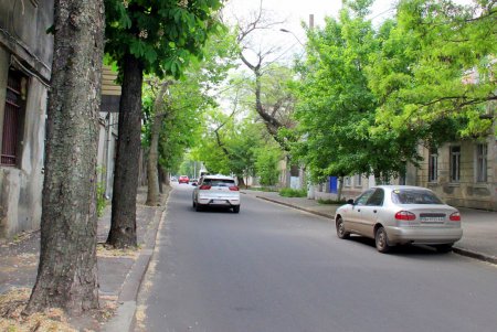 Улица Мечникова: прогулка по одной из самых длинных улиц Одессы (фоторепортаж) 