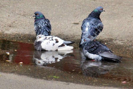 Улица Мечникова: прогулка по одной из самых длинных улиц Одессы (фоторепортаж) 