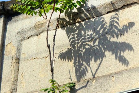 Улица Мечникова: прогулка по одной из самых длинных улиц Одессы (фоторепортаж) 