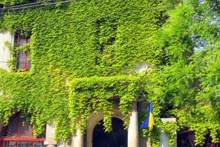 Улица Мечникова: прогулка по одной из самых длинных улиц Одессы (фоторепортаж) 