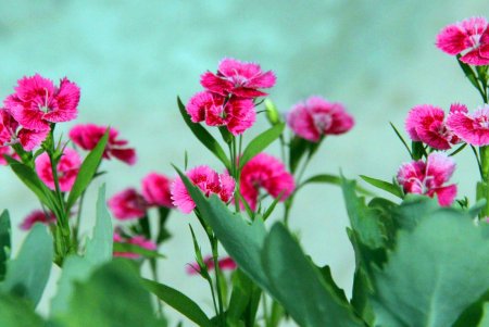 Улица Мечникова: прогулка по одной из самых длинных улиц Одессы (фоторепортаж) 