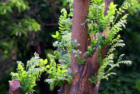 Улица Мечникова: прогулка по одной из самых длинных улиц Одессы (фоторепортаж) 