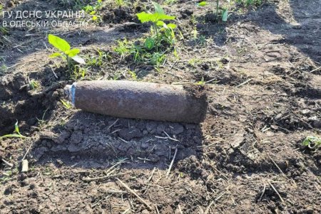 В районе села Усатово обнаружен и уничтожен пиротехниками артснаряд времен Второй мировой войны (фото)