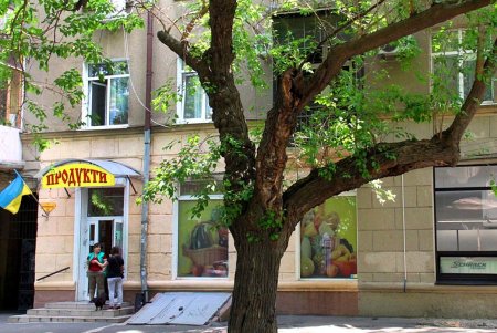 Утопающая в зелени улица Кузнечная: старинные дома с лепниной и сохранившаяся брусчатка (фоторепортаж)