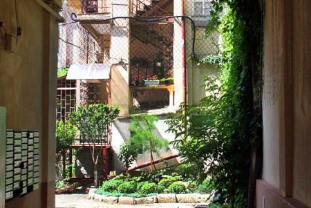 Утопающая в зелени улица Кузнечная: старинные дома с лепниной и сохранившаяся брусчатка (фоторепортаж)