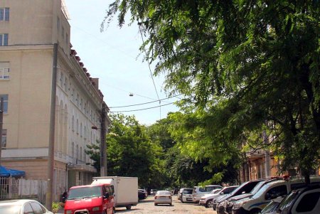 Утопающая в зелени улица Кузнечная: старинные дома с лепниной и сохранившаяся брусчатка (фоторепортаж)