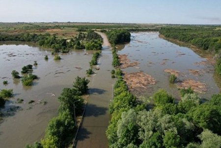 Разрушение дамбы Каховской ГЭС: затопленные дома, эвакуация людей, гибель животных и экологическая катастрофа для всего Черноморского бассейна (фоторепортаж) 