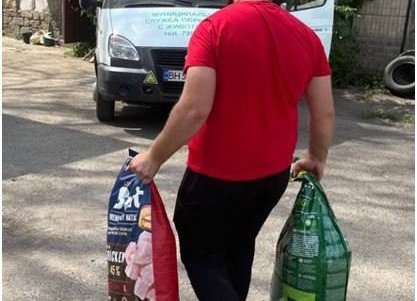 Из Херсона в Одессу эвакуировали почти 50 кошек и собак: животные нуждаются в корме и средствах для ухода (фото, видео)