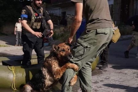 Разрушенная жизнь и дома, поломанные судьбы десятков тысяч жителей Херсонской области (фоторепортаж)