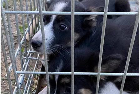 Разрушенная жизнь и дома, поломанные судьбы десятков тысяч жителей Херсонской области (фоторепортаж)