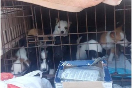 Разрушенная жизнь и дома, поломанные судьбы десятков тысяч жителей Херсонской области (фоторепортаж)