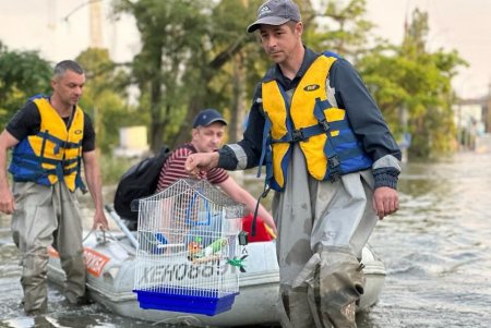 Разрушенная жизнь и дома, поломанные судьбы десятков тысяч жителей Херсонской области (фоторепортаж)
