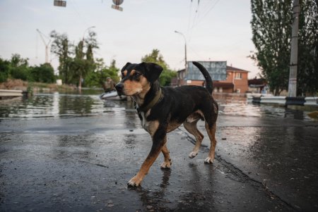 Разрушенная жизнь и дома, поломанные судьбы десятков тысяч жителей Херсонской области (фоторепортаж)