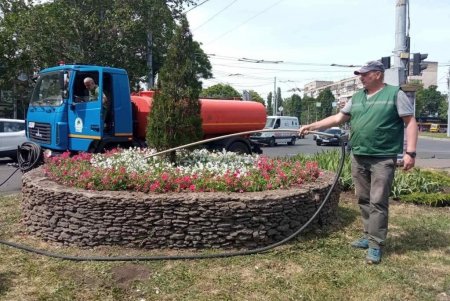 На одесских клумбах высадили более пяти тысяч летних цветов (фото)