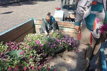 На одесских клумбах высадили более пяти тысяч летних цветов (фото)