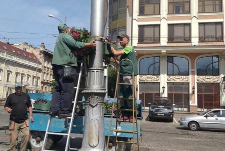 На одесских клумбах высадили более пяти тысяч летних цветов (фото)