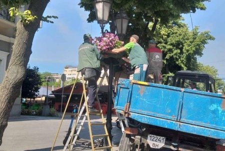 На одесских клумбах высадили более пяти тысяч летних цветов (фото)