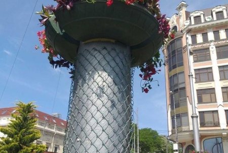 На одесских клумбах высадили более пяти тысяч летних цветов (фото)
