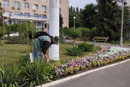 На одесских клумбах высадили более пяти тысяч летних цветов (фото)