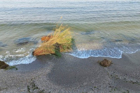 В Одессу пребывают переселенцы из зоны подтопления (фоторепортаж) 