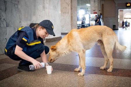 В Одессу пребывают переселенцы из зоны подтопления (фоторепортаж) 