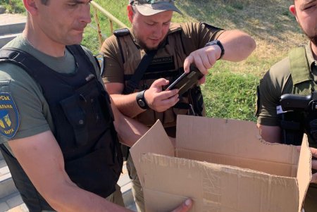 В Черноморске спасли ондатру, которую принесло течением к пляжу после подрыва Каховской ГЭС (фото)