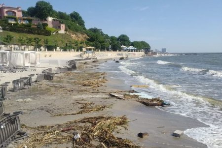 В Черном море специалисты фиксируют снижение солености морской воды (фото)