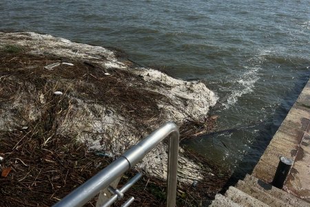 В Черном море специалисты фиксируют снижение солености морской воды (фото)