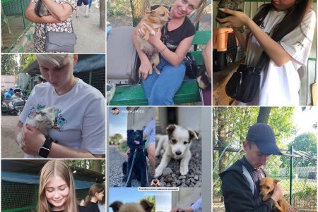 Спасенные животные из Херсона обрели в Одессе новые любящие семьи (фоторепортаж)