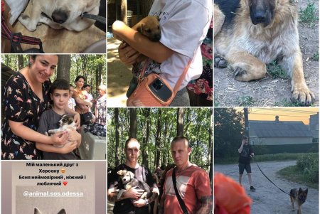 Спасенные животные из Херсона обрели в Одессе новые любящие семьи (фоторепортаж)