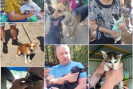 Спасенные животные из Херсона обрели в Одессе новые любящие семьи (фоторепортаж)