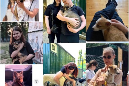 Спасенные животные из Херсона обрели в Одессе новые любящие семьи (фоторепортаж)
