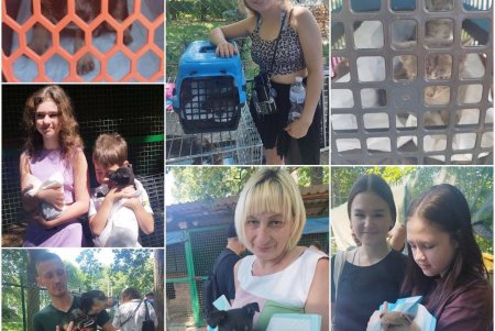 Спасенные животные из Херсона обрели в Одессе новые любящие семьи (фоторепортаж)