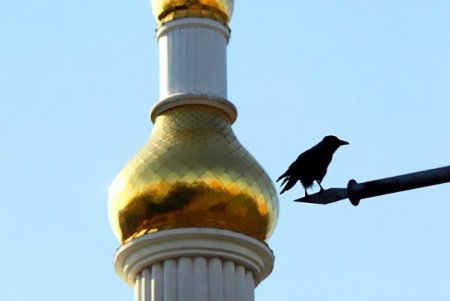 Фонтанская дорога - рекордсмен по количеству скверов (фоторепортаж)