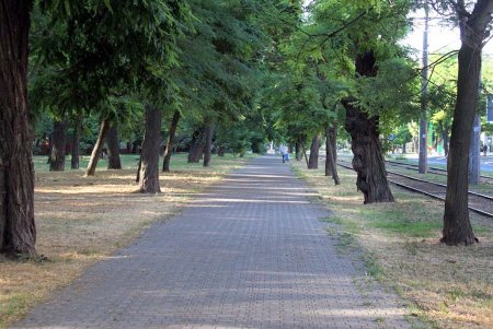 Фонтанская дорога - рекордсмен по количеству скверов (фоторепортаж)