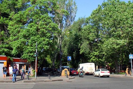 Фонтанская дорога - рекордсмен по количеству скверов (фоторепортаж)