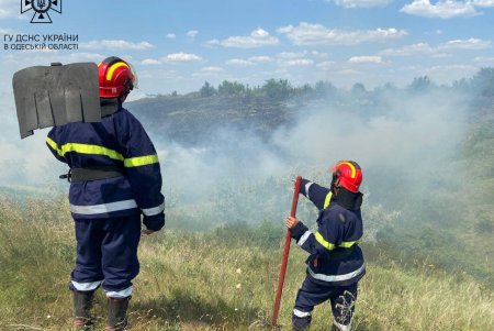 В Одесской области из-за нарушений правил пожарной безопасности за неделю выгорело 24 га земли (фото)