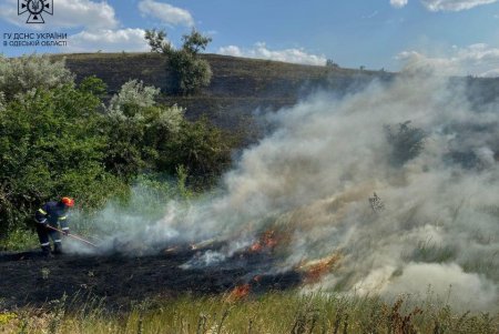 В Одесской области из-за нарушений правил пожарной безопасности за неделю выгорело 24 га земли (фото)