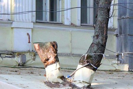 Одесский «королевский дворец»: прогулка по скверу «Пале-Рояль» (фоторепортаж) 