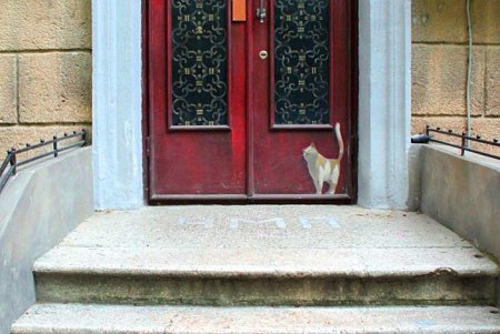 Одесский «королевский дворец»: прогулка по скверу «Пале-Рояль» (фоторепортаж) 