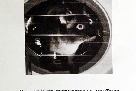 Одесский «королевский дворец»: прогулка по скверу «Пале-Рояль» (фоторепортаж) 