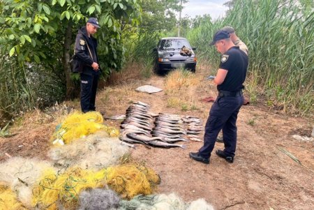 На реке Дунай поймали браконьера с запрещенным орудием лова (фото, видео)
