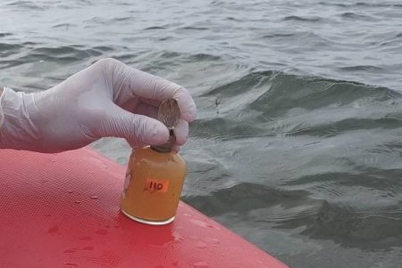 Одесса: экологи взяли пробы воды в открытом море для оценки масштабов загрязнения (фото)