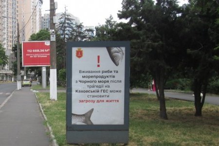 На улицах Одессы разместили соцрекламу о запрете купания, употребления рыбы и морепродуктов (фото)