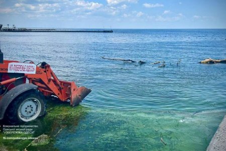 Коммунальщики очищают пляжи от гор мусора, прибитого к берегам Одессы после разрушения Каховской ГЭС (фото)