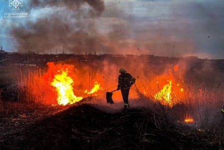 С начала лета в Одесской области произошло две сотни возгораний сухой растительности