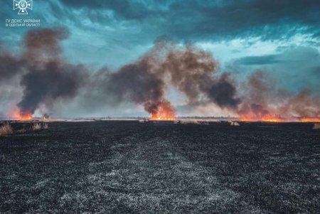 С начала лета в Одесской области произошло две сотни возгораний сухой растительности